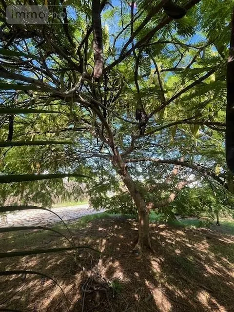 Maison a vendre Le Vauclin 97280 Martinique 972 92 m2 5 pièces 399000 euros 97204-312 012