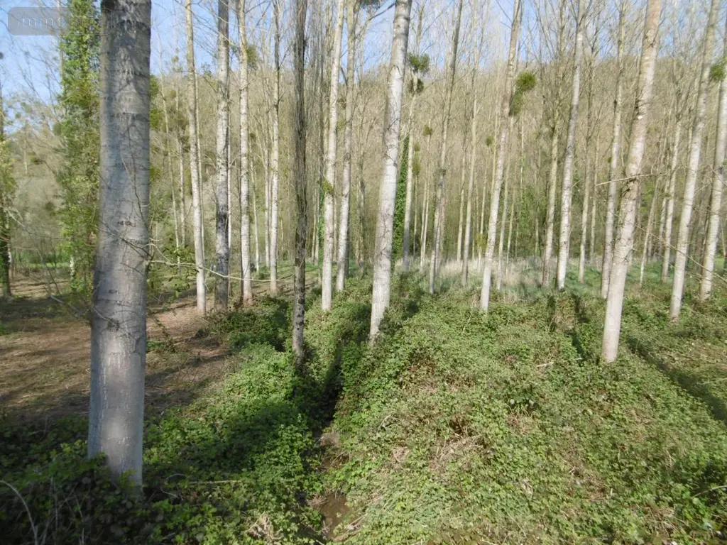 Terrains de loisirs bois etangs a vendre Pont-Farcy 50420 Manche 50 11000 euros 14076-5642 005