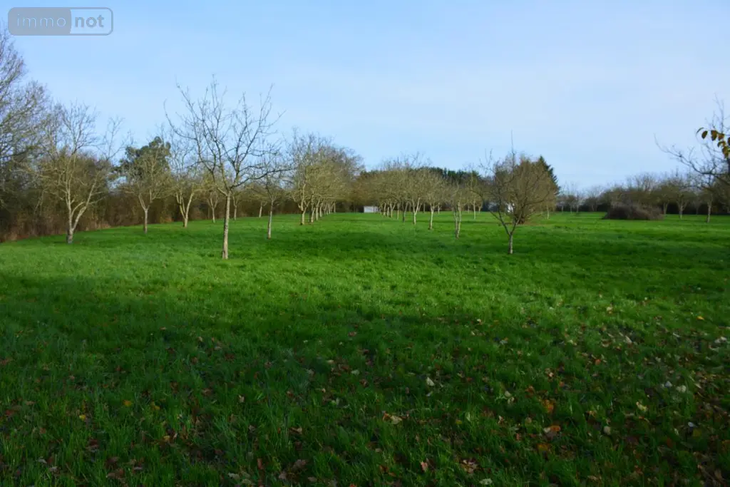 Terrains de loisirs bois etangs a vendre Grez-en-Bouère 53290 Mayenne 53 37450 euros 53039-382 005