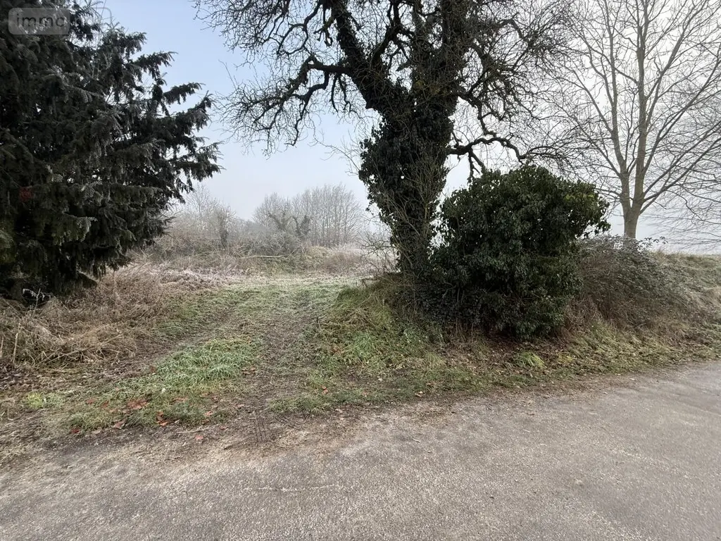 Terrain a batir a vendre Romain 51140 Marne 51 70000 euros 51066-2042 004