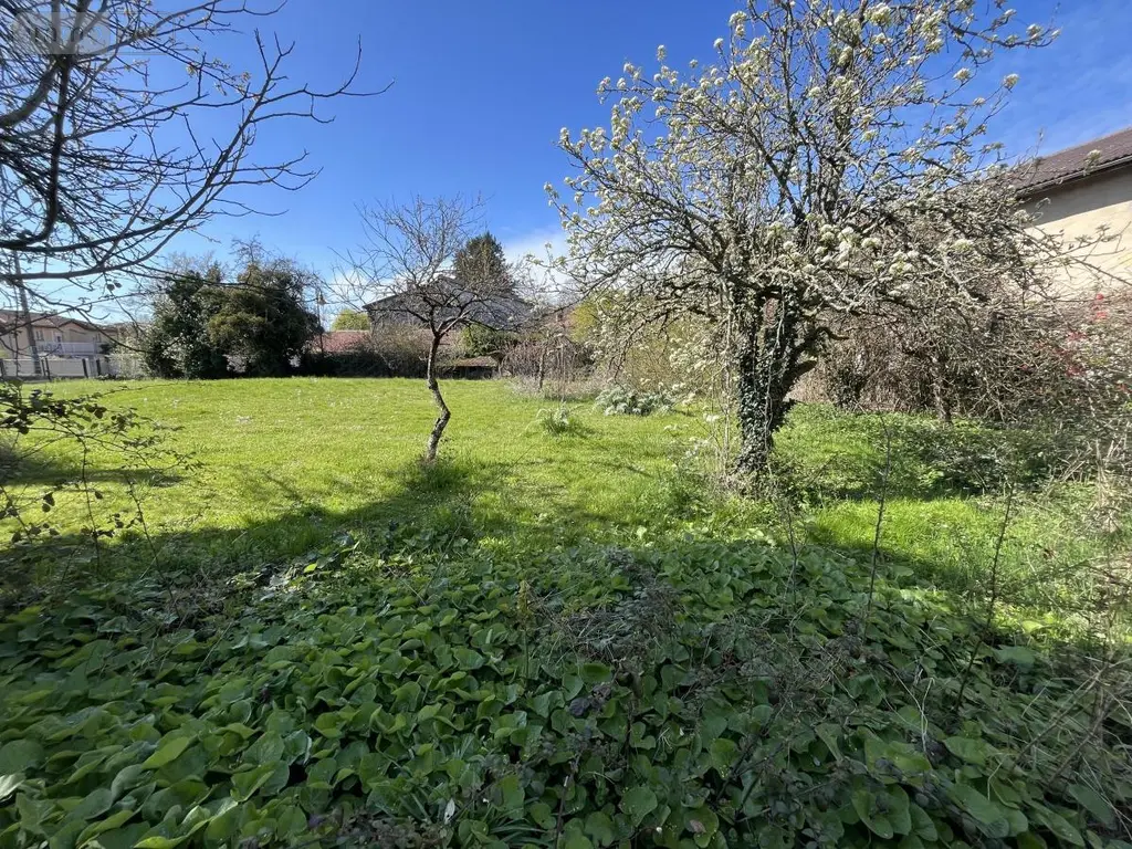 Terrain a batir a vendre Châtillon-la-Palud 01320 Ain 01 95000 euros 01067-1010 001