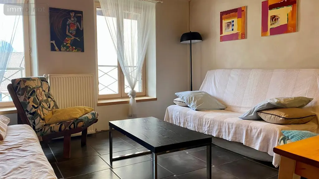 Immeuble de rapport a vendre Nantua 01130 Ain 01 230 m2 265000 euros 01048-234 014