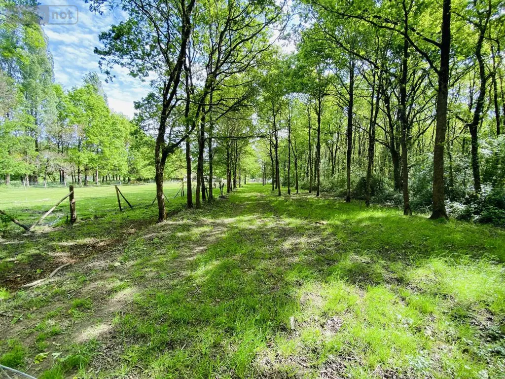 Maison a vendre La Chevrolière 44118 Loire-Atlantique 44 156 m2 351570 euros 44039-1799 008