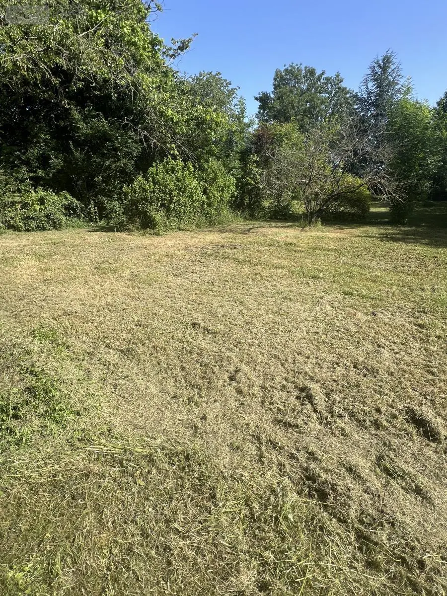 Terrain a batir a vendre Beauce la Romaine 41240 Loir-et-Cher 41 33000 euros 41029-55 002