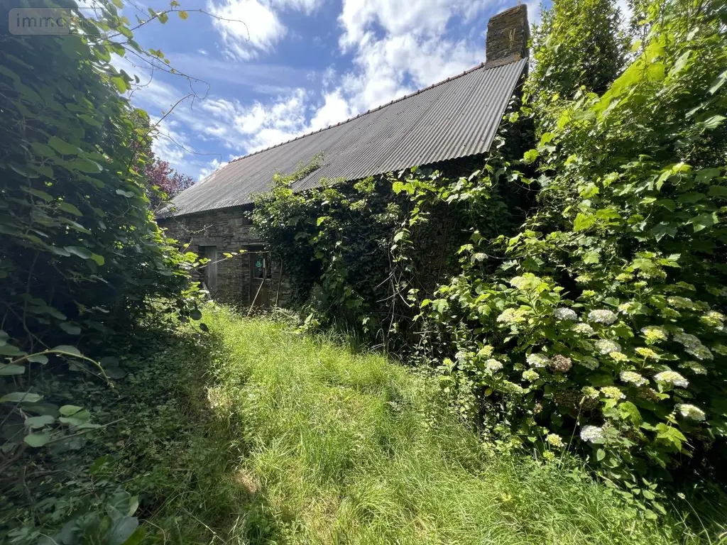 Maison a vendre Ruffiac 56140 Morbihan 56 100 m2 4 pièces 79200 euros 56044-1560 009