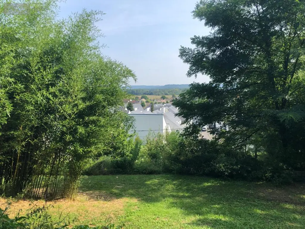 Terrain a batir a vendre Laon 02000 Aisne 02 56000 euros 02002-264 006