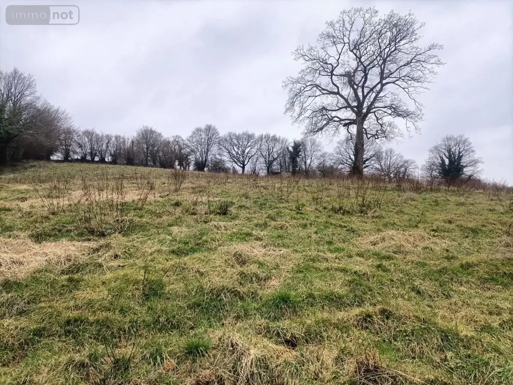 Terrains de loisirs bois etangs a vendre Rouffigny 50800 Manche 50 25375 euros 50038-2617 004