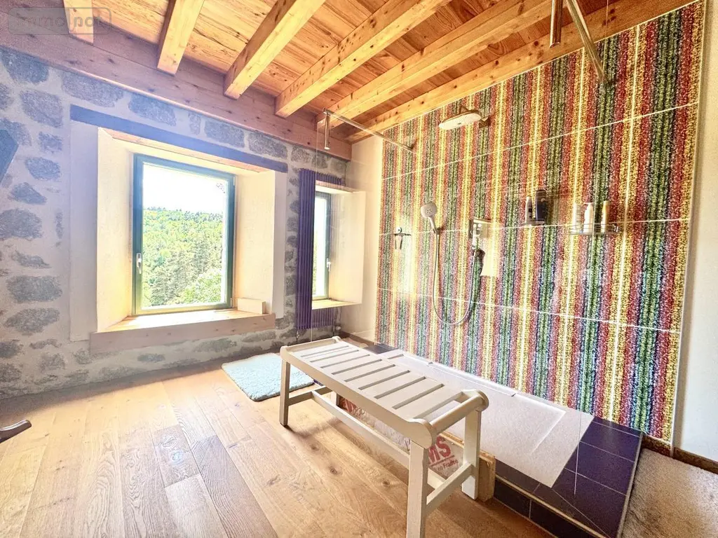 Maison a vendre Grandrieu 48600 Lozère 48 250 m2 368000 euros 48032-238 014