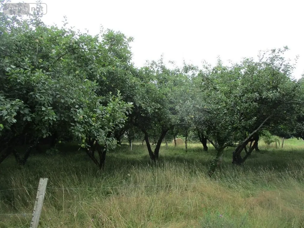 Terrain a batir a vendre Cléden-Poher 29270 Finistère 29 16684 euros 29064-2773 002