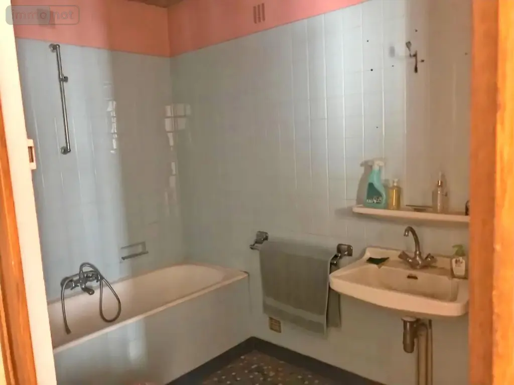 Immeuble de rapport a vendre Les Aix-d'Angillon 18220 Cher 18 220 m2 73150 euros 18006-251 008