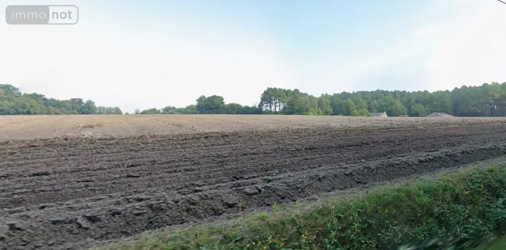 Terrains de loisirs bois etangs a vendre Cérans-Foulletourte 72330 Sarthe 72 39600 euros 72042-542 003