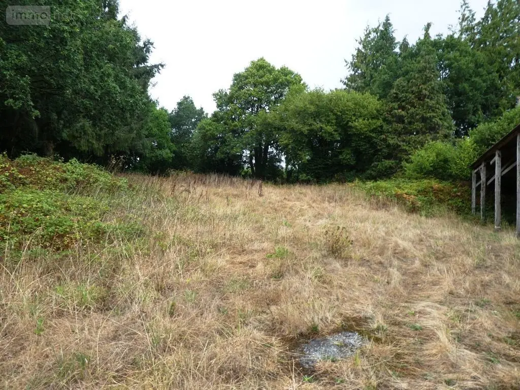 Maison a vendre Ploërdut 56160 Morbihan 56 85 m2 37300 euros 56075-2528 010