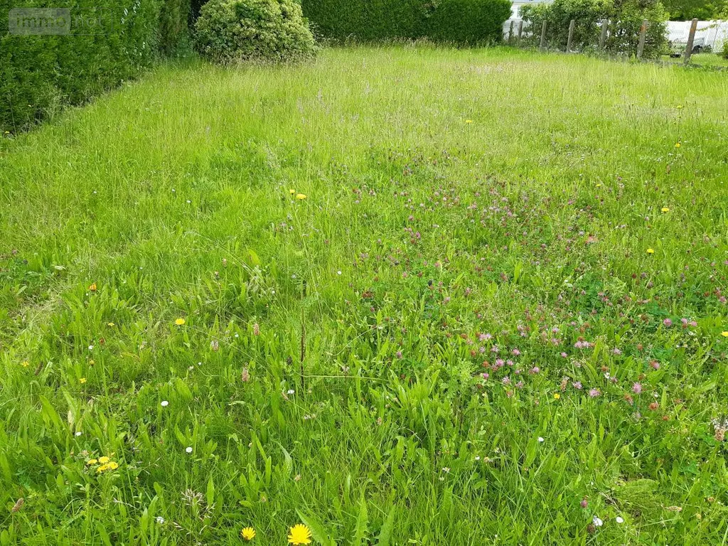 Terrain a batir a vendre Champigné 49330 Maine-et-Loire 49 31800 euros 49096-1339 003