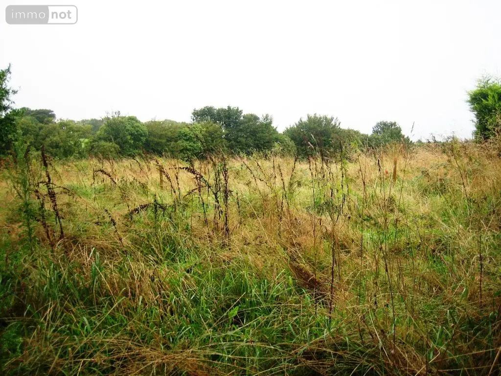 Terrain a batir a vendre Locmalo 56160 Morbihan 56 19188 euros 56075-1983 001