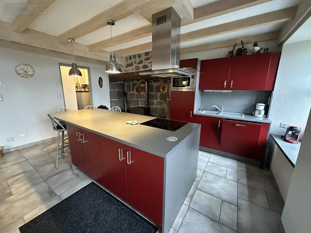 Maison a vendre Cézens 15230 Cantal 15 168 m2 249000 euros 15046-63 003