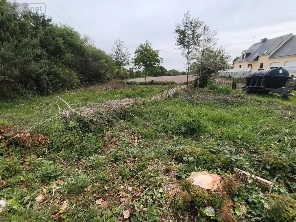 Terrain a batir a vendre Herbignac 44410 Loire-Atlantique 44 115500 euros 56014-790 002