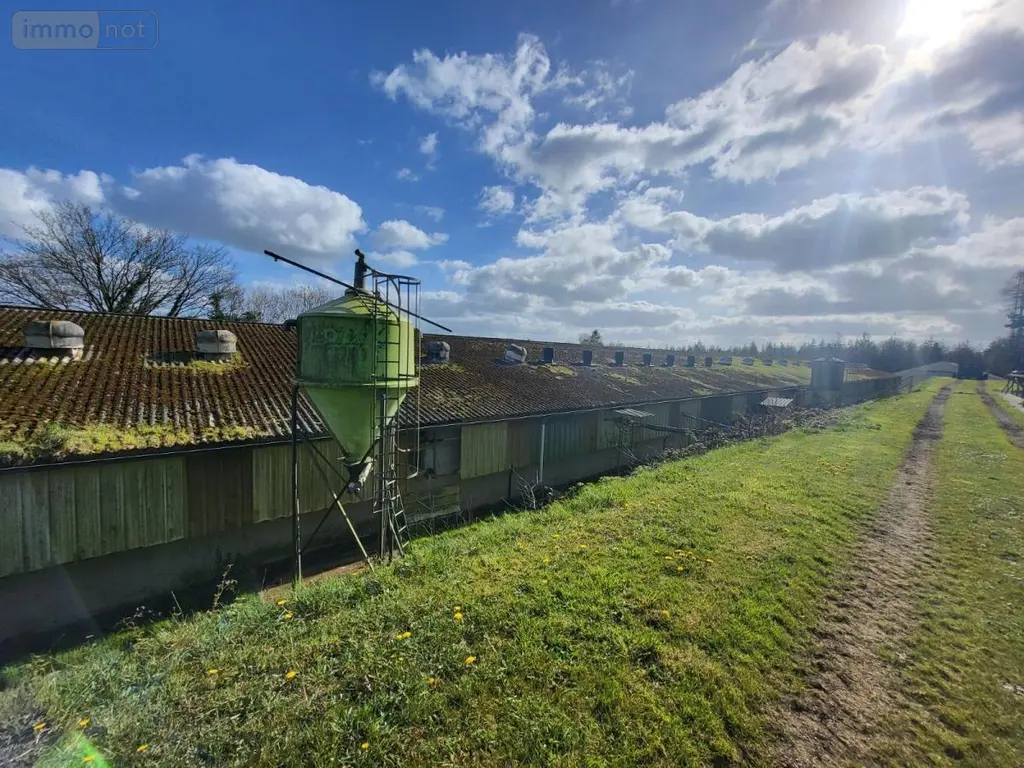 Terrains de loisirs bois etangs a vendre Poullaouen 29246 Finistère 29 157500 euros 29066-3874 006