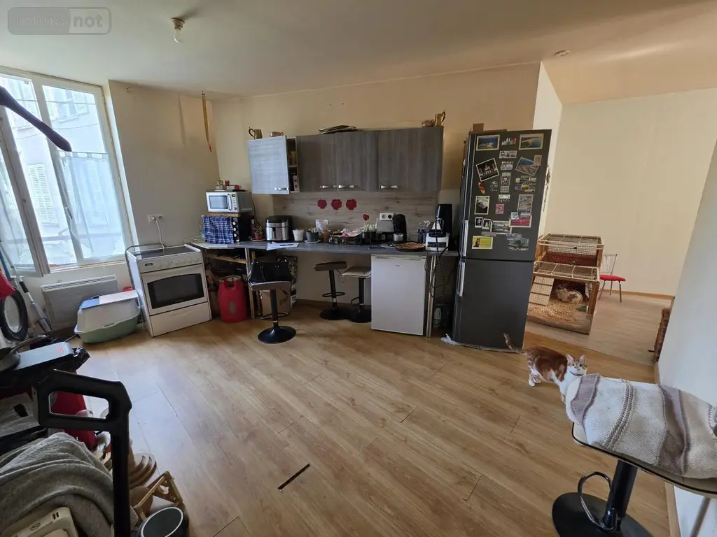 Appartement a vendre Montargis 45200 Loiret 45 65 m2 3 pièces 75600 euros 45050-1402 004