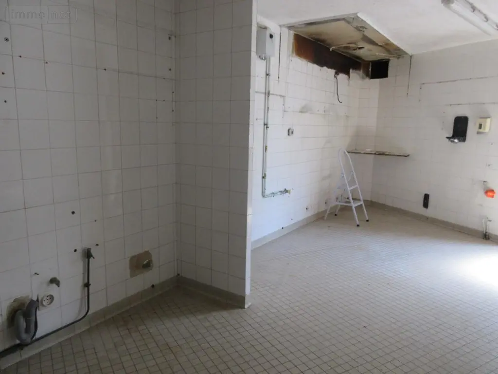 Immeuble de rapport a vendre Locminé 56500 Morbihan 56 160 m2 99860 euros 56077-967 004