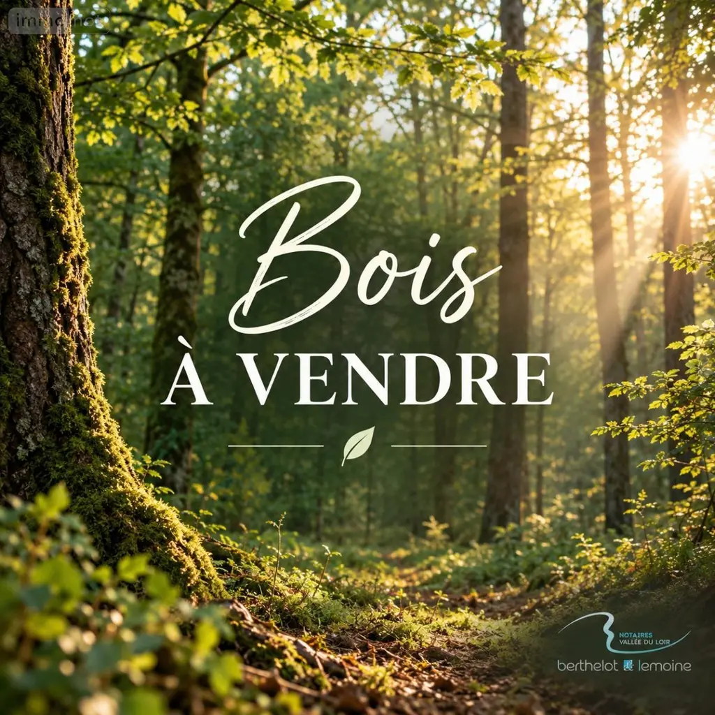 Terrains de loisirs bois etangs a vendre Lavardin 41800 Loir-et-Cher 41 129875 euros 41059-1041 001