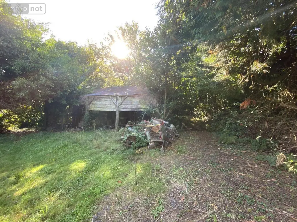 Maison a vendre Saint-Jean-Brévelay 56660 Morbihan 56 47 m2 2 pièces 59000 euros 56056-196 009