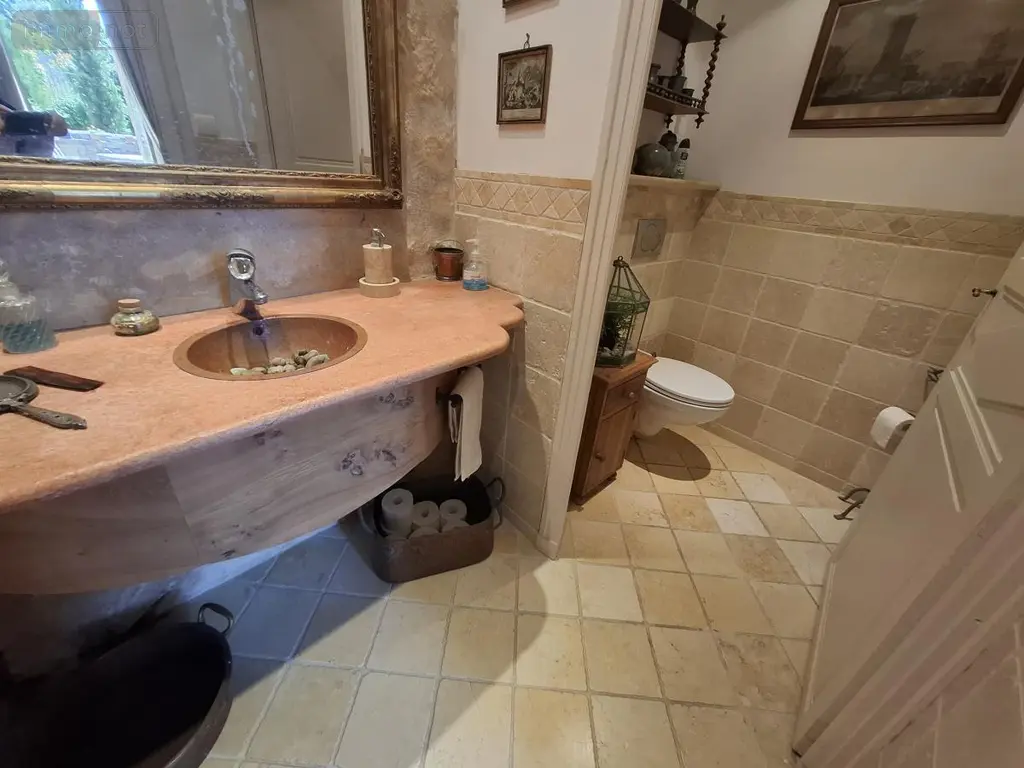 Maison a vendre Saintes 17100 Charente-Maritime 17 350 m2 13 pièces 988000 euros 17111-674 016