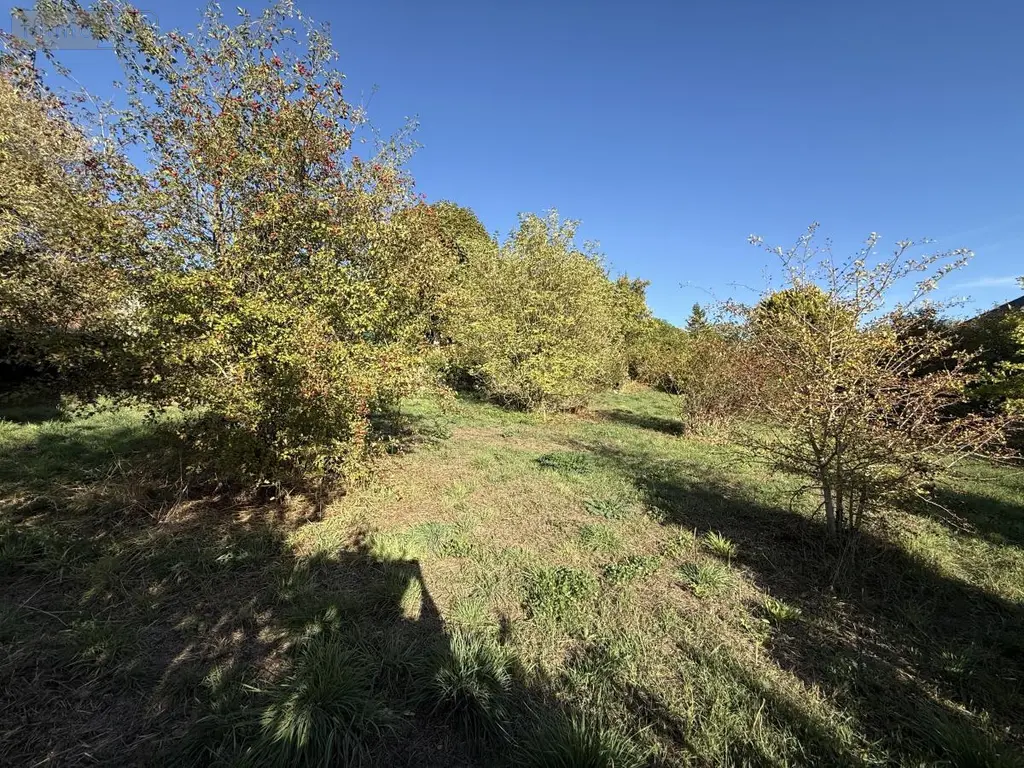 Maison a vendre Saint-Euphraise-et-Clairizet 51390 Marne 51 49 m2 3 pièces 165000 euros 51066-2124 021