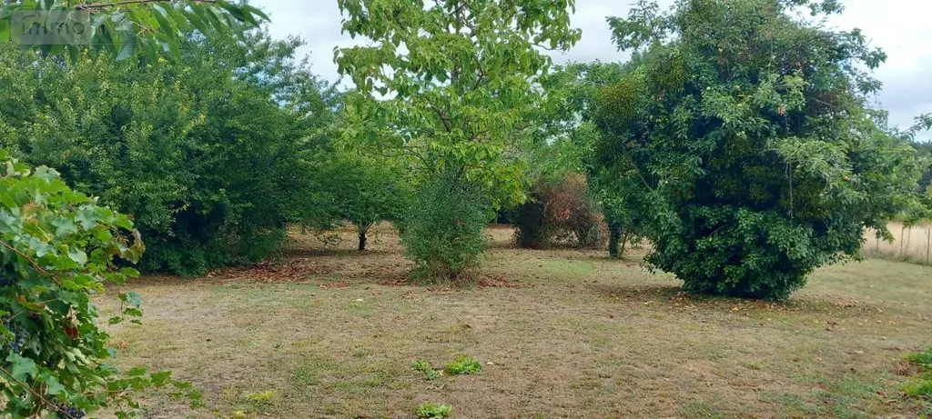 Maison a vendre L'Île-Bouchard 37220 Indre-et-Loire 37 130 m2 8 pièces 169600 euros 37060-2310 003