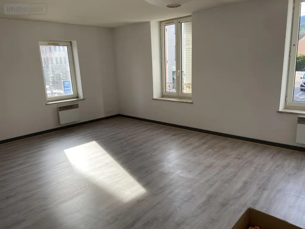 Immeuble de rapport a vendre Saint-Dié-des-Vosges 88100 Vosges 88 200 m2 165000 euros 88061-879 010