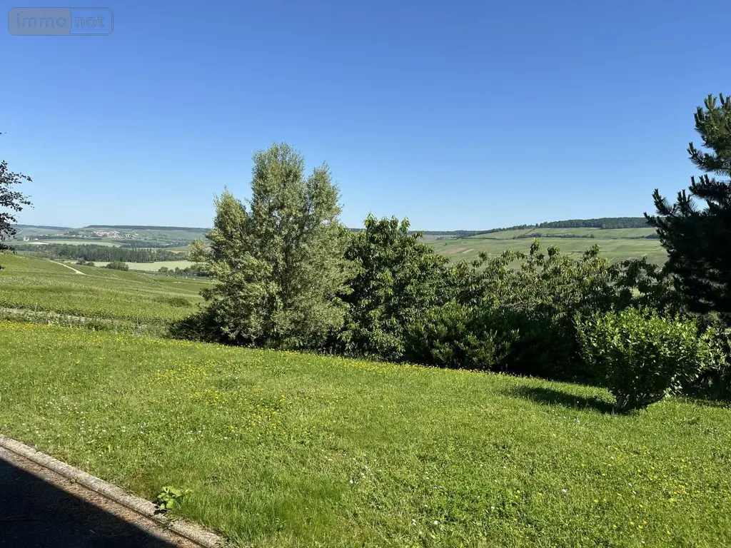 Maison a vendre Œuilly 51480 Marne 51 295 m2 8 pièces 420000 euros 51022-2350 003
