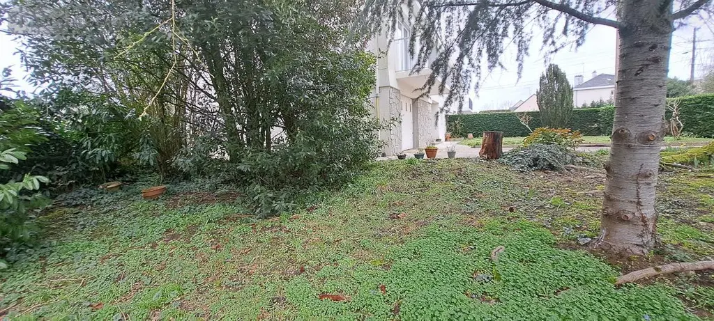 Maison a vendre Bouchemaine 49080 Maine-et-Loire 49 125 m2 5 pièces 320225 euros 49004-1699 018