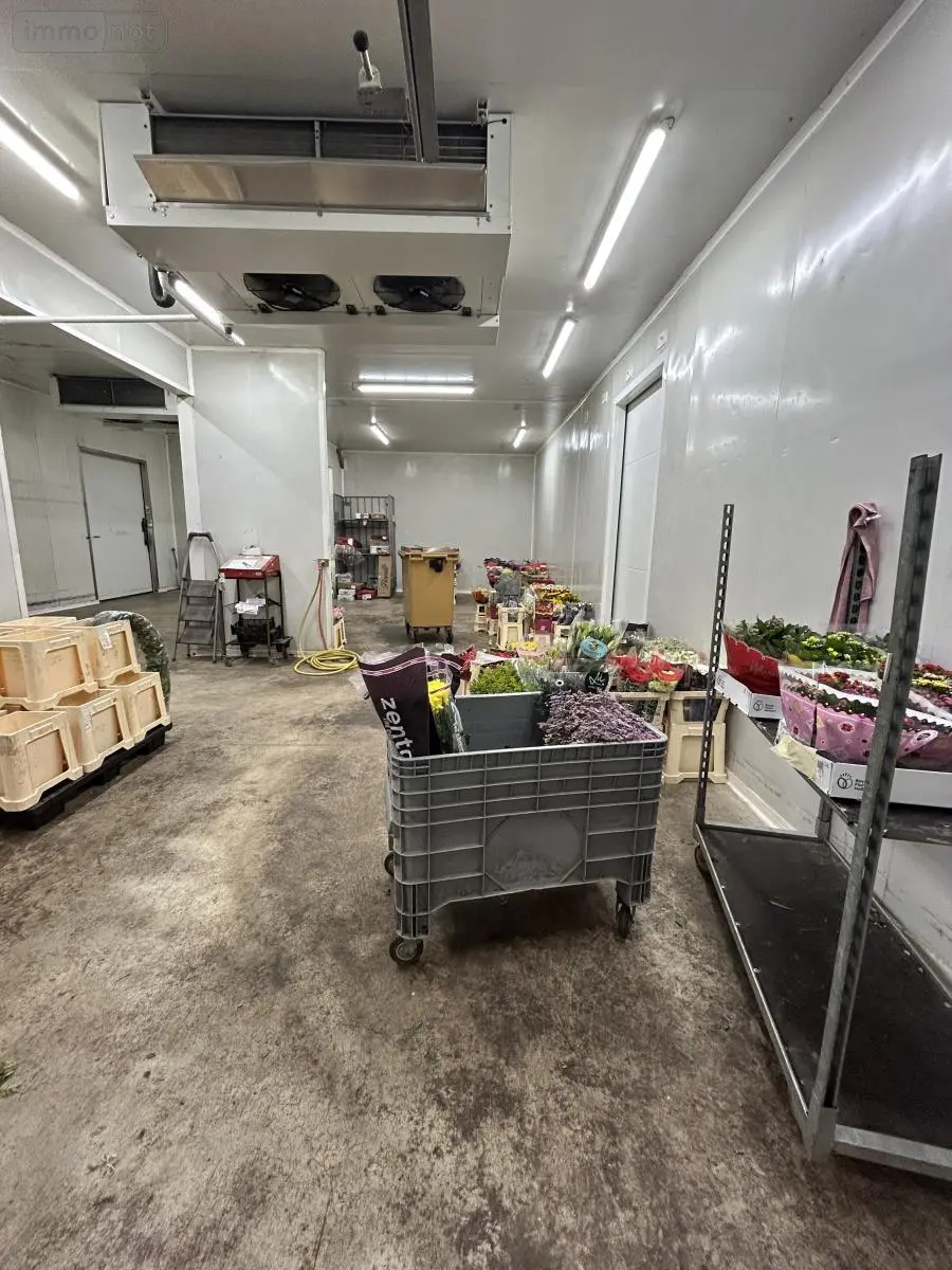 Fonds et murs commerciaux a vendre Yffiniac 22120 Côtes-d'Armor 22 550 m2 349800 euros 22007-815 006