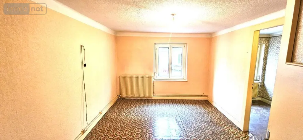 Maison a vendre Raon-l'Étape 88110 Vosges 88 119 m2 49900 euros 88061-836 004