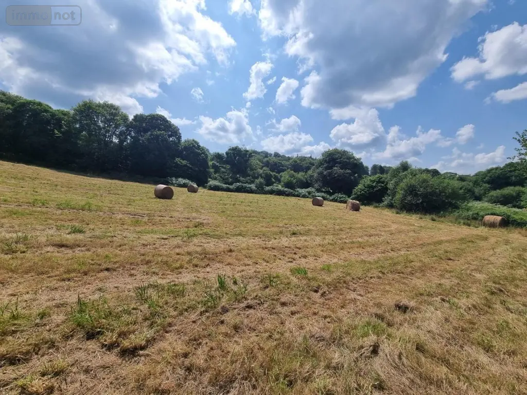 Terrains de loisirs bois etangs a vendre Plouray 56770 Morbihan 56 17500 euros 29066-3770 005