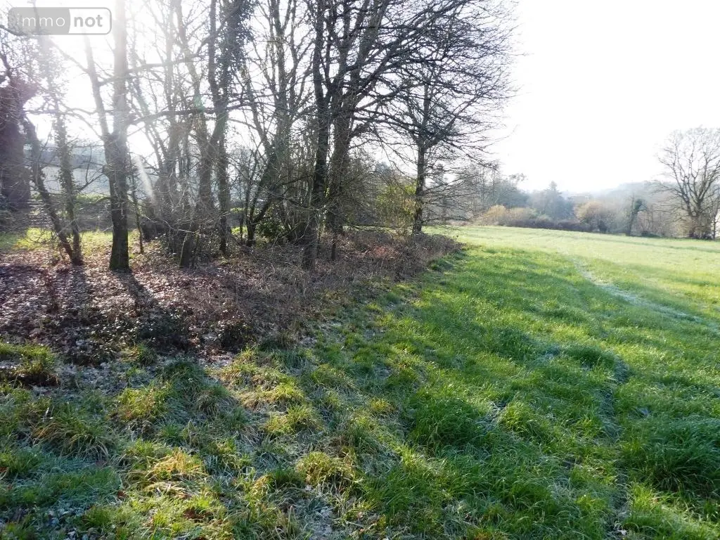 Terrain a batir a vendre Guern 56310 Morbihan 56 31980 euros 56075-2106 004