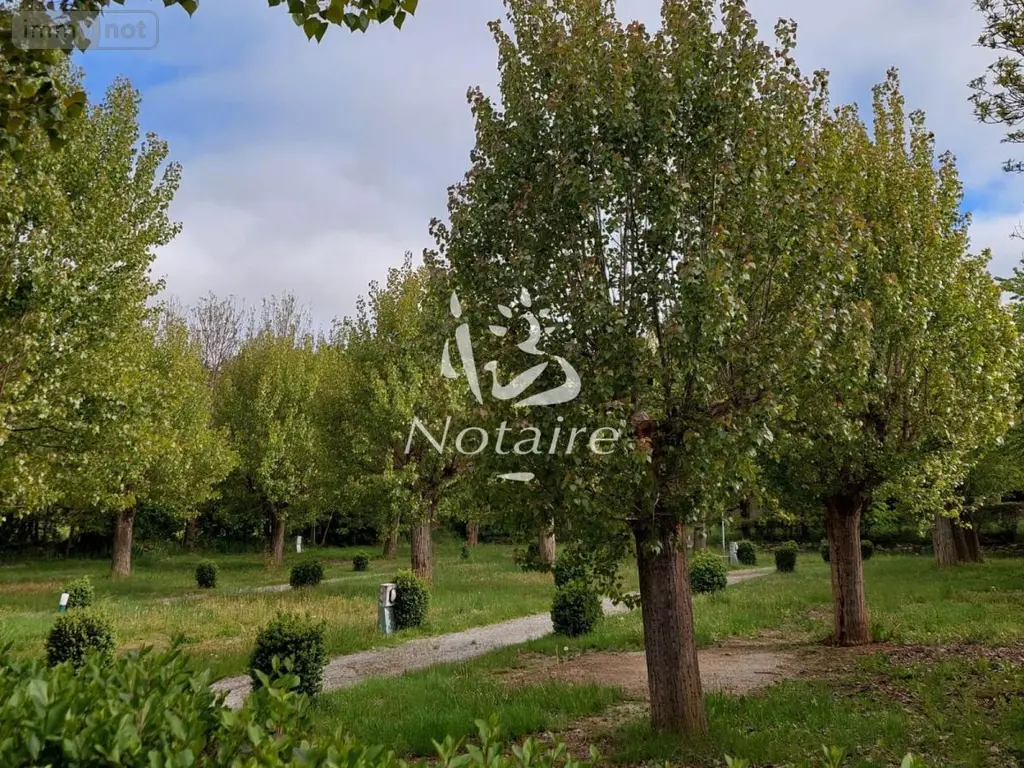 Terrains de loisirs bois etangs a vendre Saillagouse 66800 Pyrénées-Orientales 66 40000 euros 66060-23 004