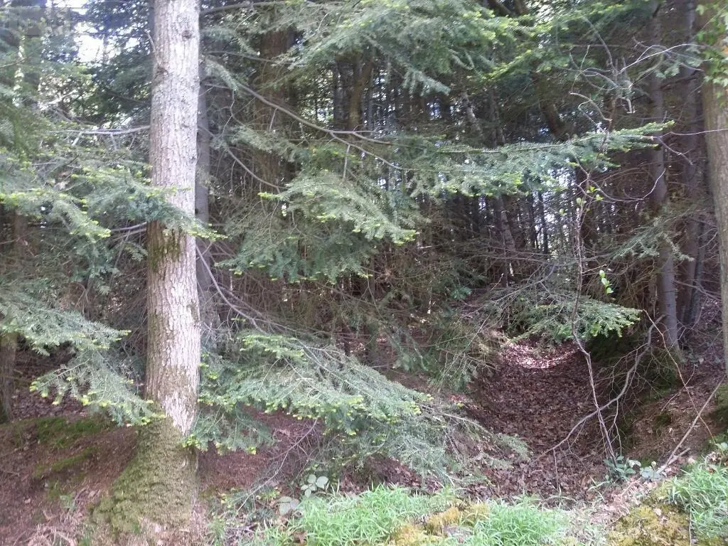 Terrains de loisirs bois etangs a vendre La Folletière-Abenon 14290 Calvados 14 6500 euros 14058-1510 003