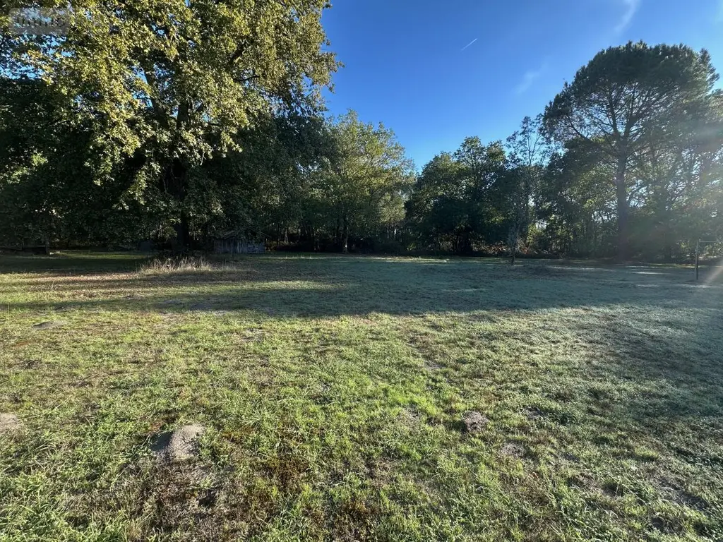Maison a vendre Sabres 40630 Landes 40 149 m2 6 pièces 262000 euros 40007-105 019