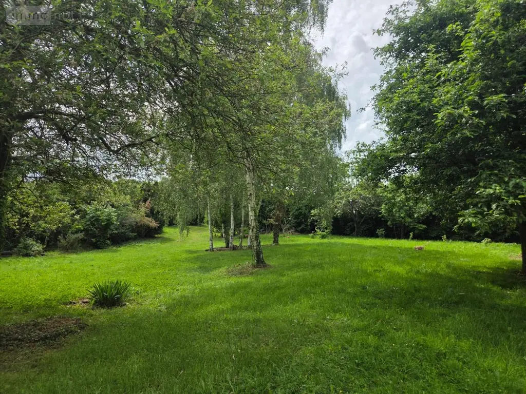 Terrains de loisirs bois etangs a vendre Fromentières 53200 Mayenne 53 27600 euros 53007-2196 004