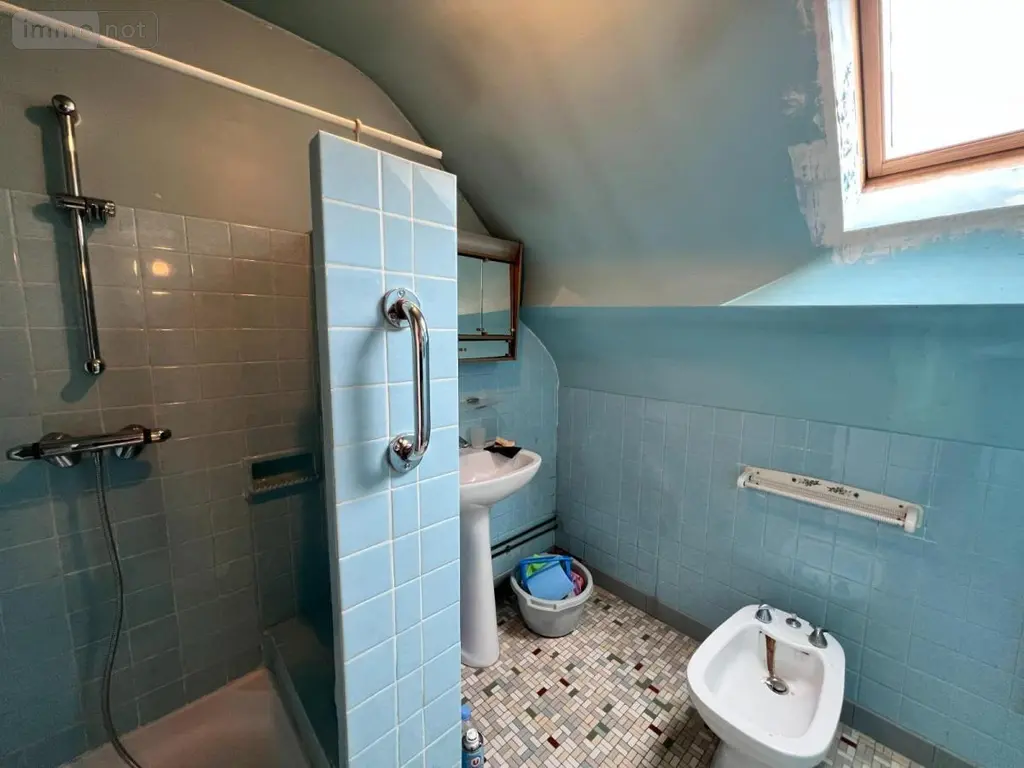 Maison a vendre Seigy 41110 Loir-et-Cher 41 94 m2 4 pièces 65000 euros 41033-1622 012