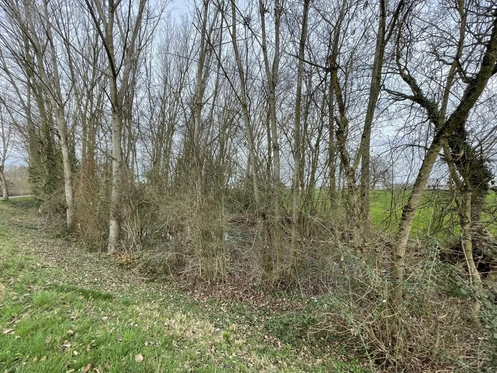 Terrains de loisirs bois etangs a vendre Le Mans 72000 Sarthe 72 11800 euros 72126-2902 003