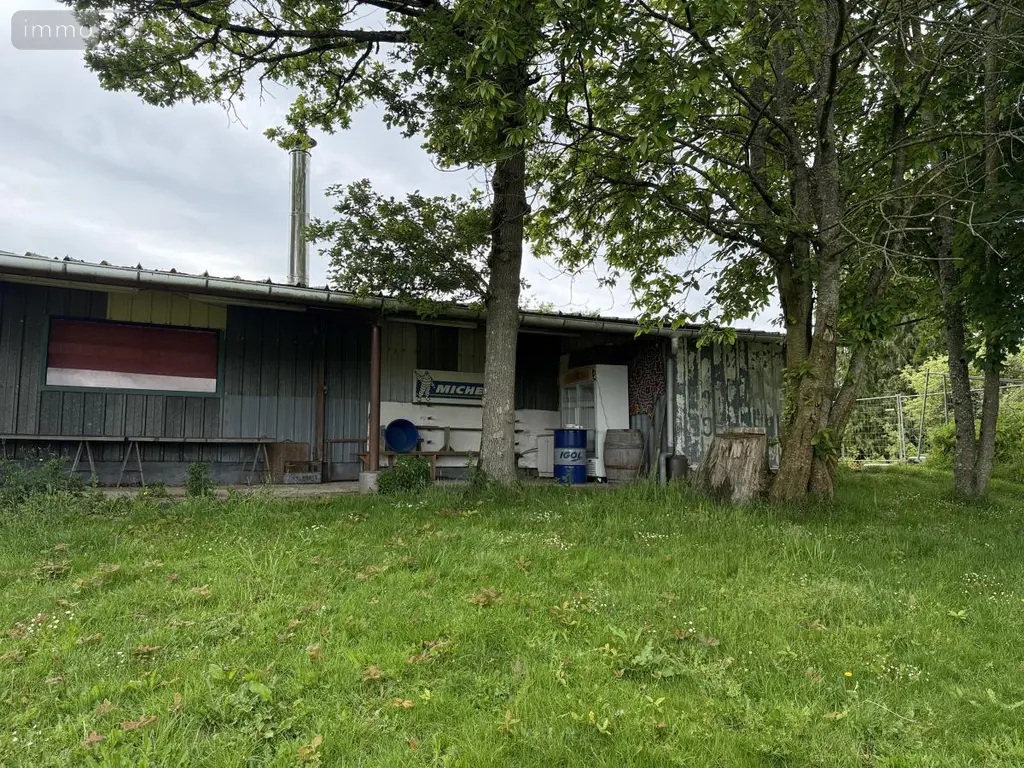 Immeuble de rapport a vendre Ménéac 56490 Morbihan 56 300 m2 74500 euros 22115-3567 007