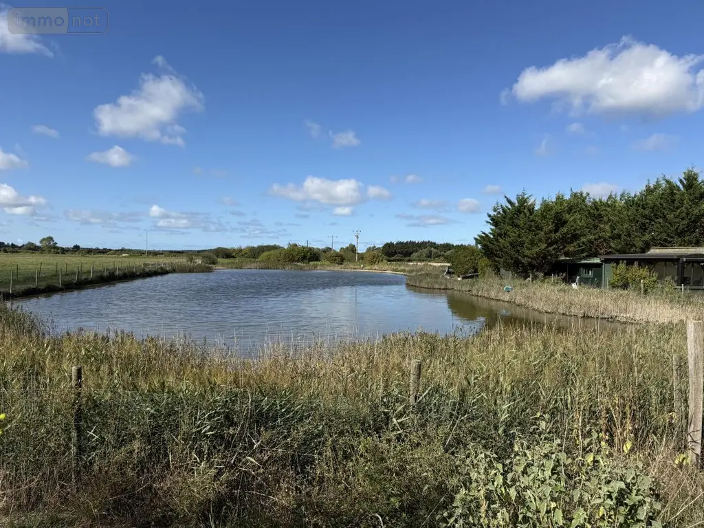 Terrains de loisirs bois etangs a vendre Rue 80120 Somme 80 188000 euros 80121-2797 001