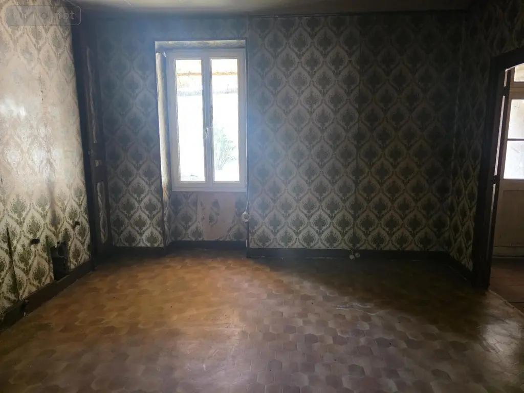 Immeuble de rapport a vendre Vierzon 18100 Cher 18 236 m2 85760 euros 18058-113 009