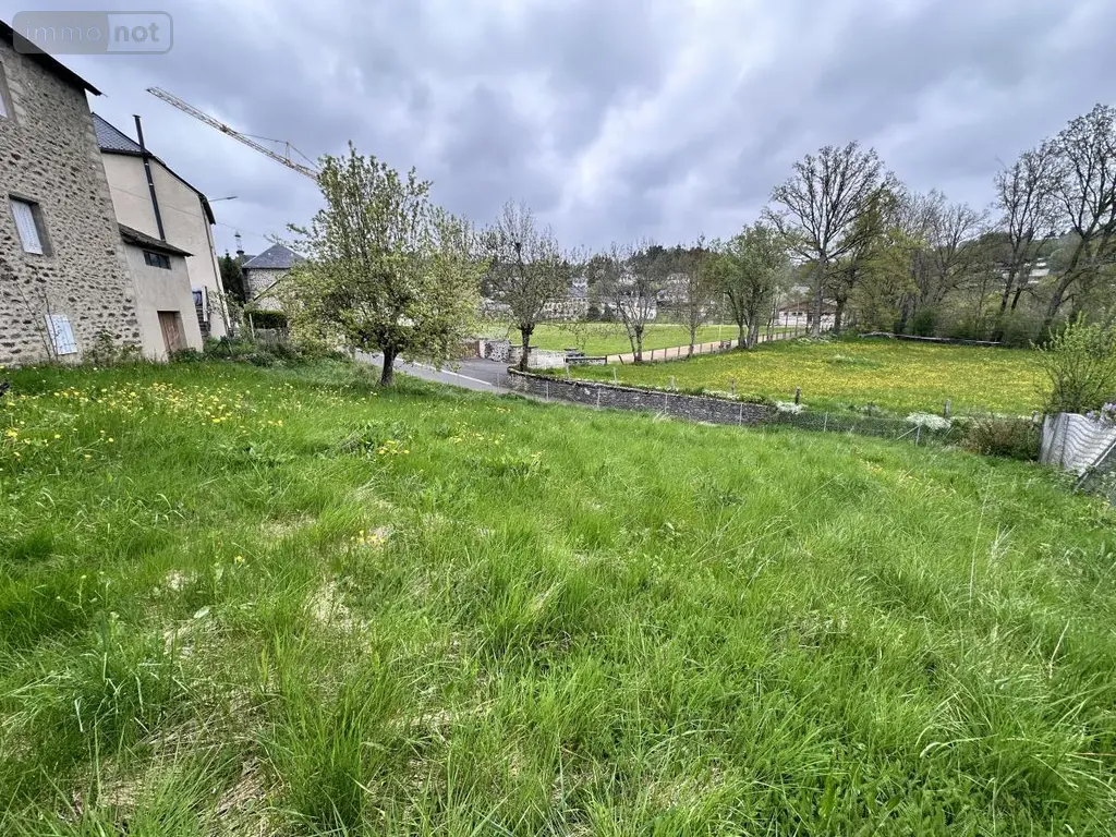 Maison a vendre Neuvéglise-sur-Truyère 15260 Cantal 15 160 m2 79500 euros 15046-40 010