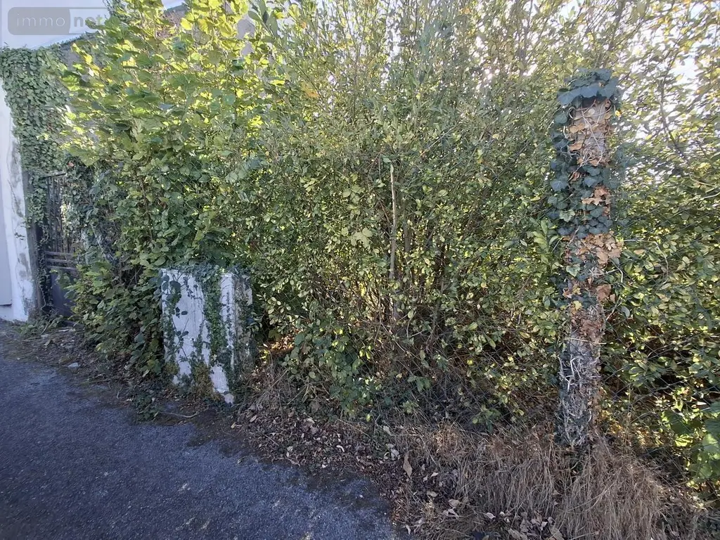 Terrain a batir a vendre Saint-Thuriau 56300 Morbihan 56 39400 euros 56062-2359 004
