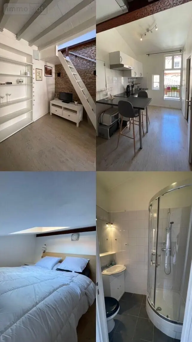 Appartement a vendre Toulouse 31000 Haute-Garonne 31 19 m2 1 pièce 146000 euros 31003-165 004