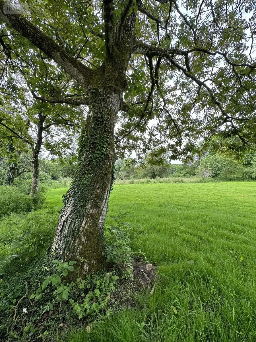 Maison a vendre Brech 56400 Morbihan 56 176 m2 9 pièces 640000 euros 56003-1056 025