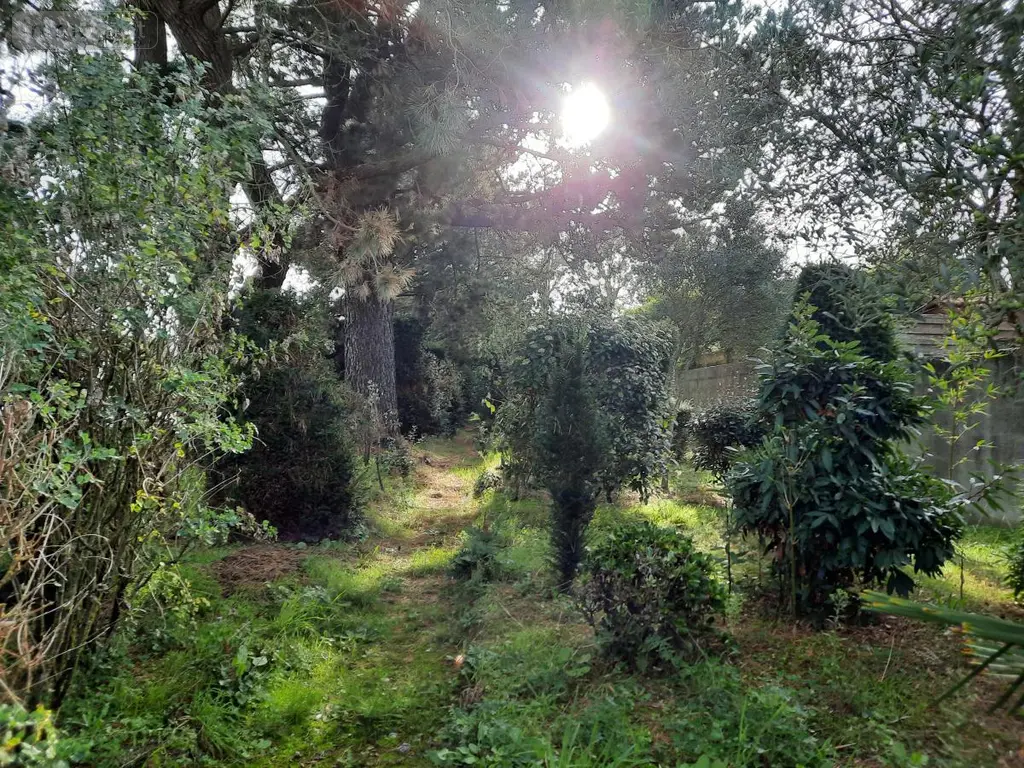 Terrain a batir a vendre Le Fenouiller 85800 Vendée 85 64600 euros 85091-5164 002