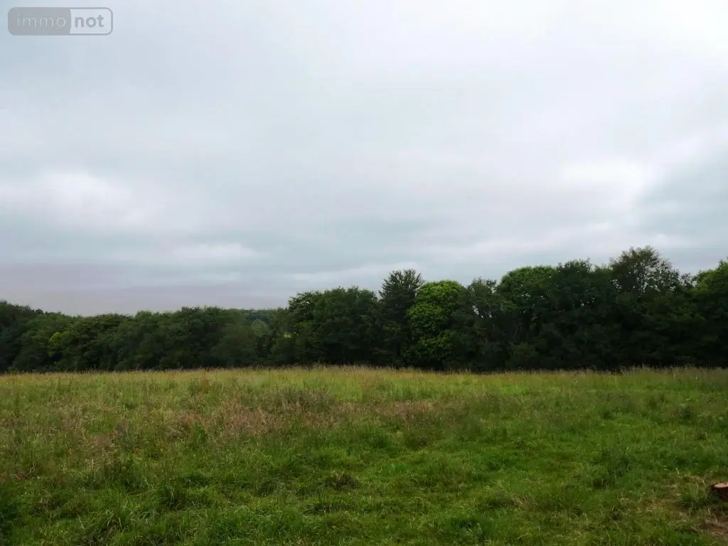 Terrains de loisirs bois etangs a vendre Plouray 56770 Morbihan 56 15990 euros 56075-2387 004